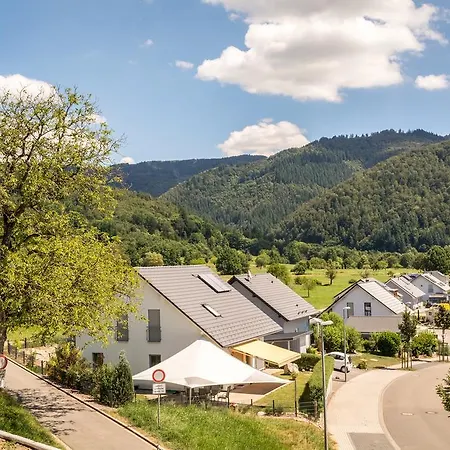 Apartment Barenfelsblick *